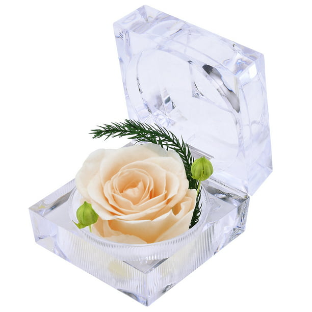 Anniversary Mother's Day Birthday White Roses Handmade Preserved Real Rose in Glass Dome 13 inch Valentine's Day Long Lasting Roses Never Withered Gifts for Her Christmas 